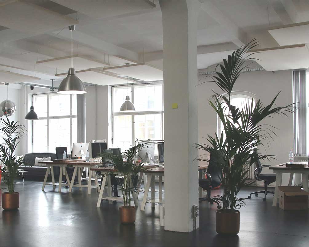gallery5